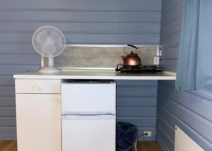 Lodger Winjum Stegastein *